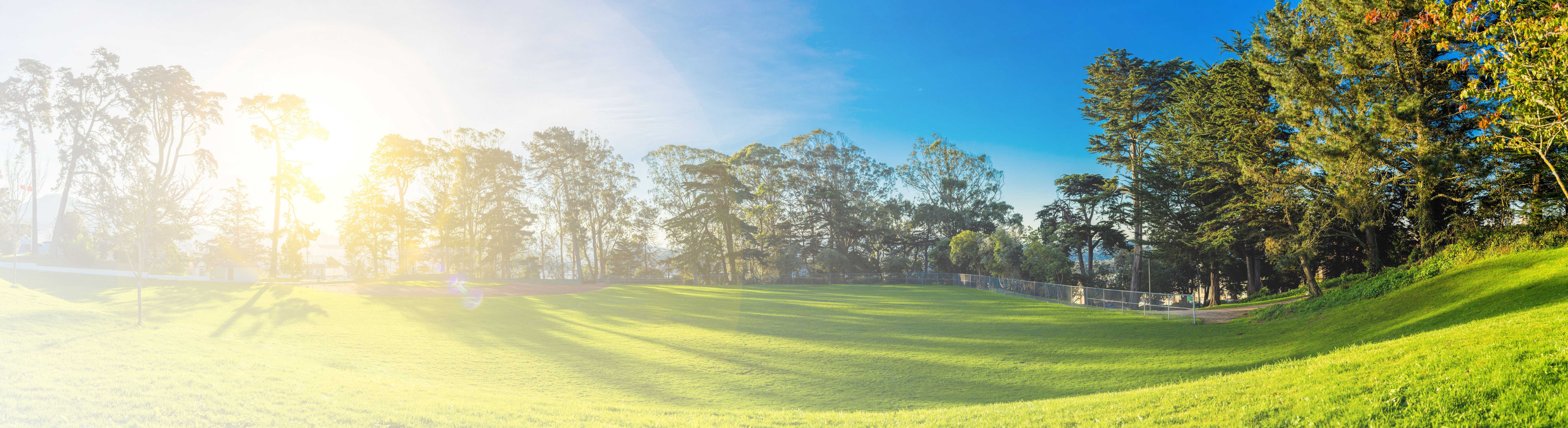 株式会社ワイズ コーポレーション